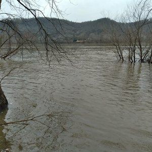 Meet your Posher, Dustin